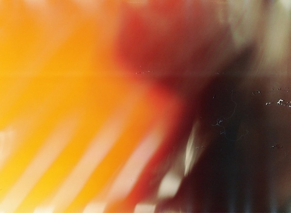 Luis Farfan | Denada.org #light #leaks