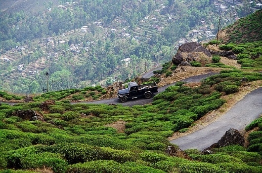 Growth. - Russian Carpet: Daily inspiration, trends, mood board. Architecture, art, design, fashion, photography. #inspiration #growth #board #russian #photography #carpet #mood #garden #trees