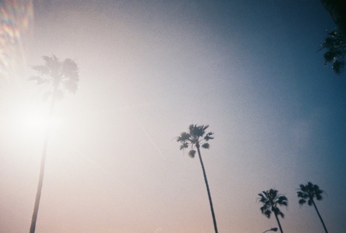 disposd #disposable #orangecounty #oc #photography #socal