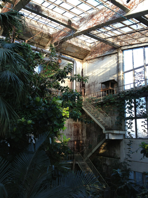 Abandoned Porn #garden #botanical #abandoned