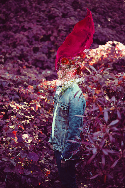 photo #flower #min #faceless #red