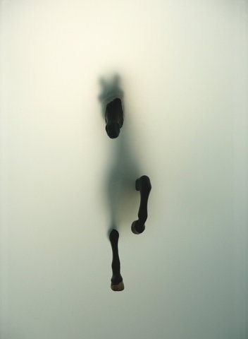 Gimme Bar | Google Reader (1000+) #depth #surreal #faded #horse #floating #ghostly