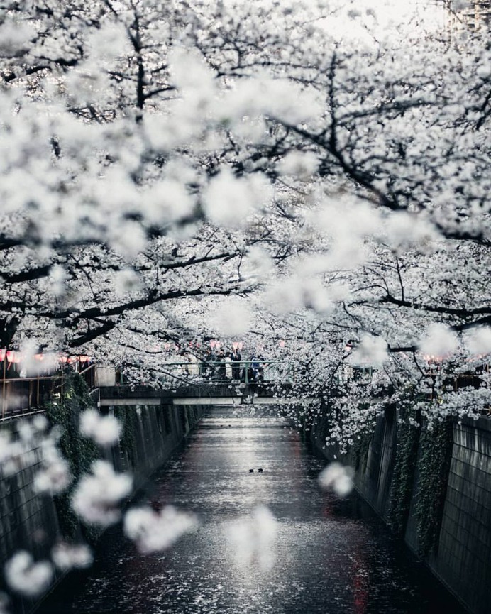 Cinematic Street Photography in Tokyo by Jack Rangooni