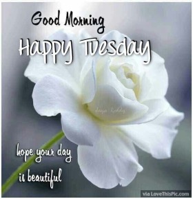 - Good Morning