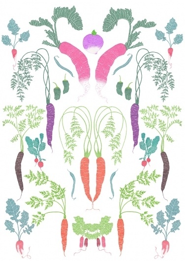 Malin Rosenqvist #plants #print #food #vegetables #illustration #nature