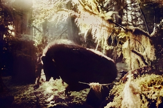 Alison Scarpulla's Portfolio #photography #film