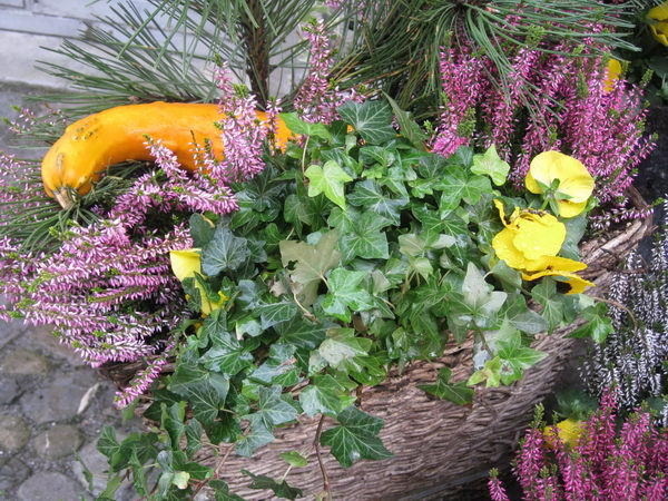 40+ Creative Flower Arrangement Ideas #flower #ideas #arrangement