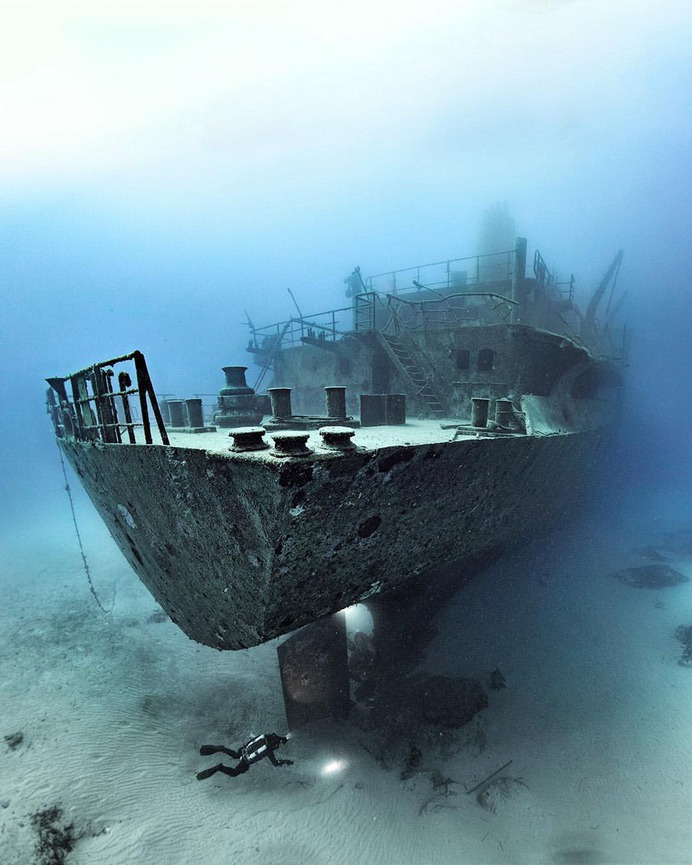Spectacular Underwater Photography by Alex Dawson