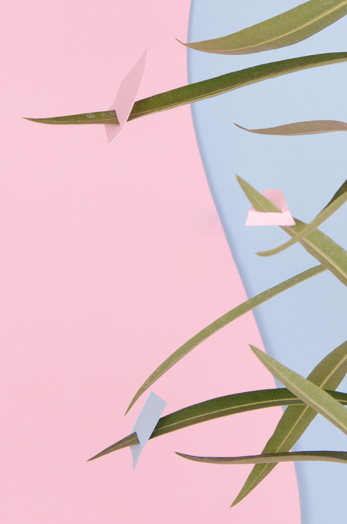 plants