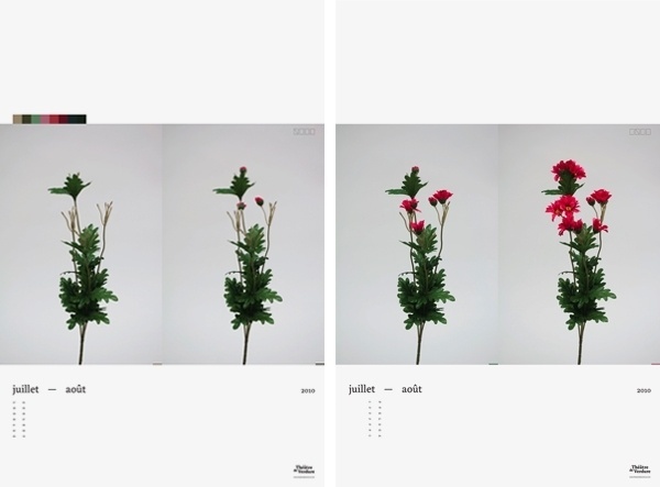 Théâtre de verdure - Nadine Brunet #floral #theatre