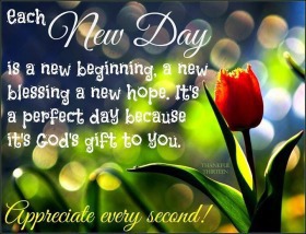 - Good Morning