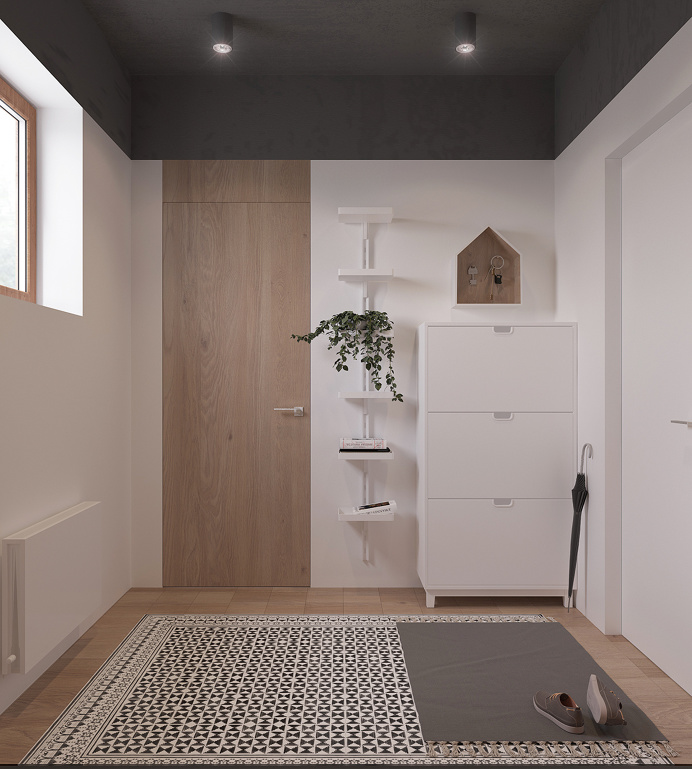 Minimal scandinavian house Kolodishchi