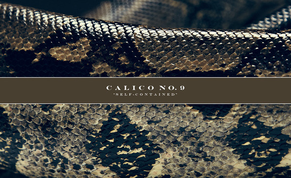 Calico No.9 ® #shipping #clothing #container #self #shirt #calico9 #photography #contained #streetwear #fashion #style