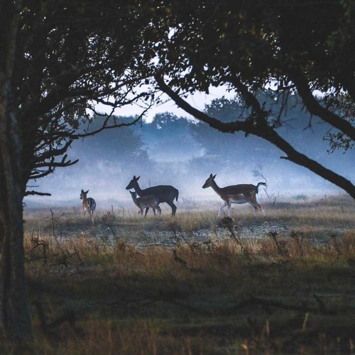 Stunning Travel and Adventure Photography by Glenn Anthonie