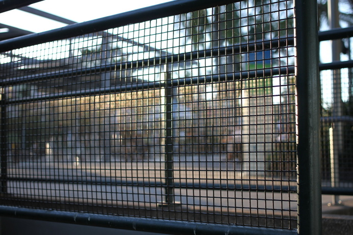 Fence, Ella Clark, taken on 1st September 2017, http://suitcasedreaming.tumblr.com