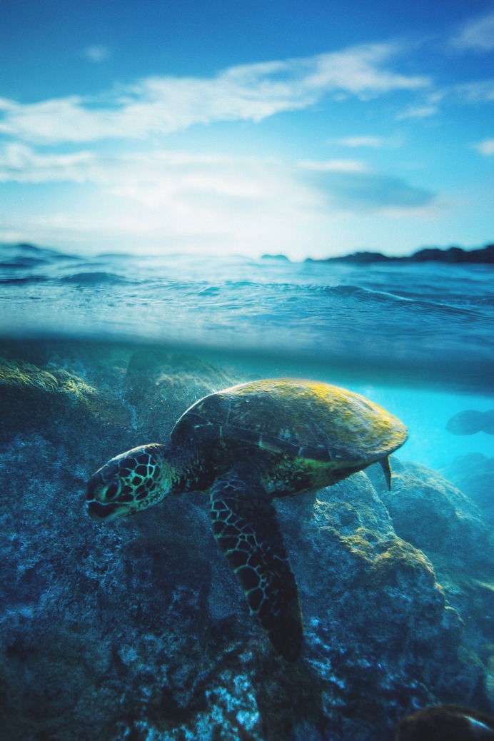 Above and Below