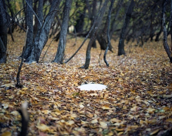Photography by Ksenia Burnasheva #inspiration #photography