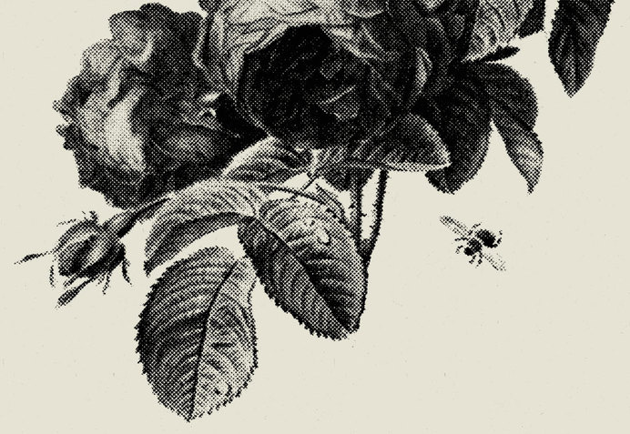 Floral Stamp