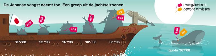 Infographic for Greenpeace by The Ad Agency