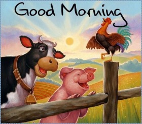 - Good Morning