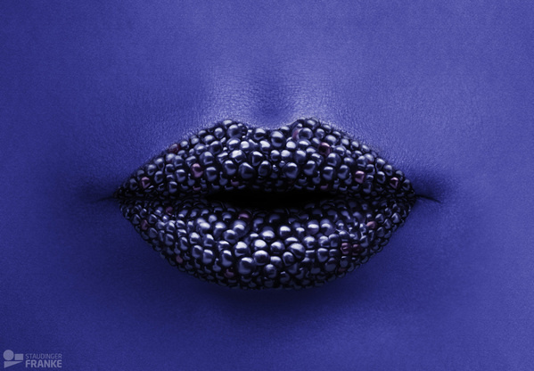 Lipton on the Behance Network