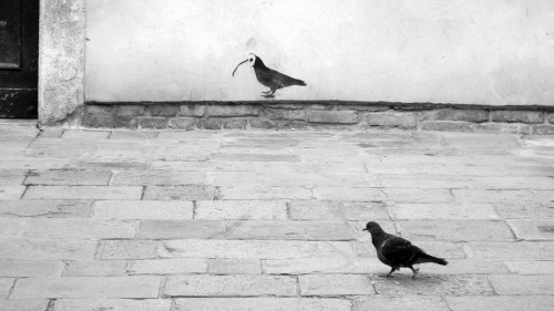 real_nonreal PHOTOGRAPHIE © [ catrin mackowski ]
