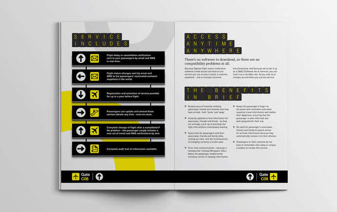Dgoose Technologies brochure #brochure #print #design