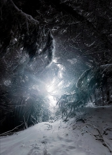 Photography inspiration | #439 « From up North | Design inspiration & news