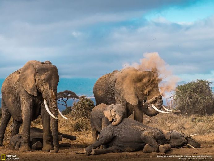 Spa Time!, Nilesh Shah