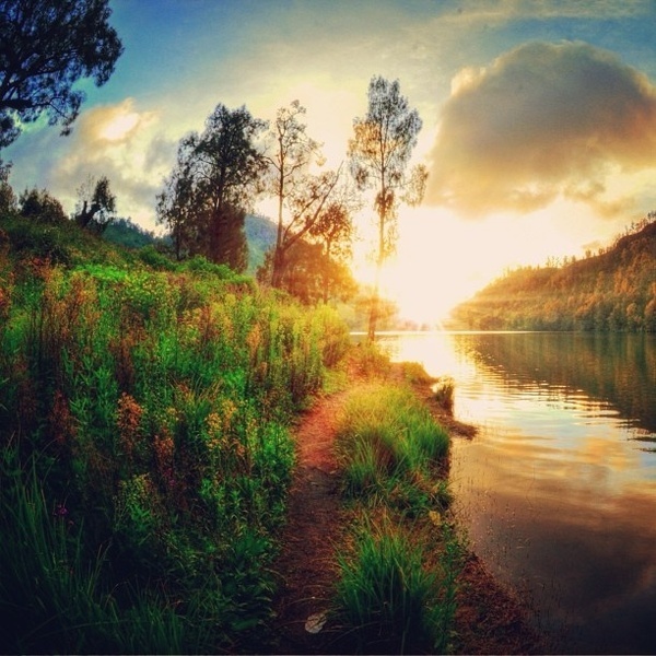 Photography by DarisZ Cahyadi #inspiration #photography #iphoneography