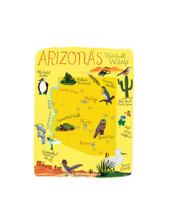 AnneSmith.net Maps #illustration #maps