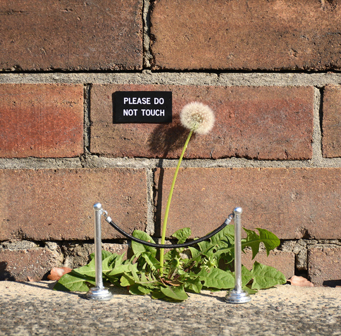 Street Art Interventions by Michael Pederson
