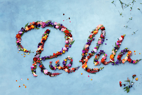 Typeverything.com Â Rue La La by Saddington Baynes. #type #flowers