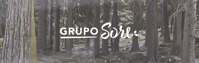 Designed a young brand for GROUP SORE that depicts strength and confidence as well as its commitment to the environment. #design #graphic