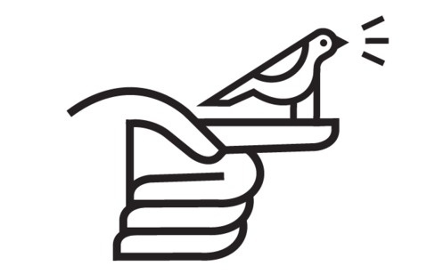 Field Study | Spring is here and the birds are tweetin! #icon #bird #twitter #logo #hand