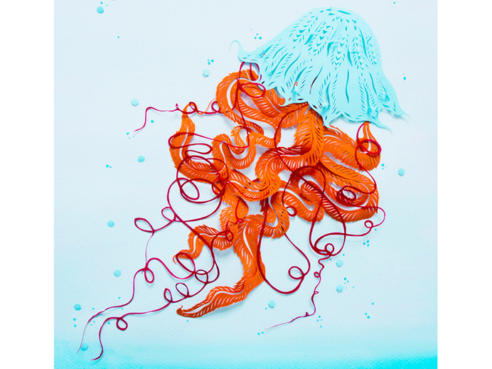 Jellyfish #illustration #paper