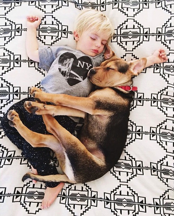 A Naptime Story with Dog and Baby 5 #photography #baby #dog
