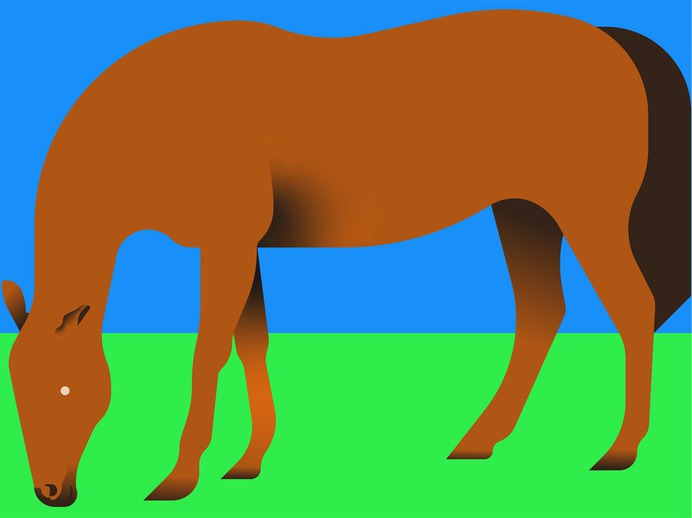 Horse illustrator character animal vector horse