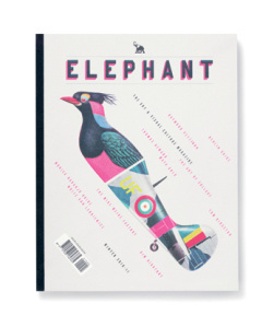 elephant