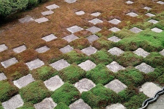 SDIM3602 | Flickr - Photo Sharing! #stones #chess #japan #grass