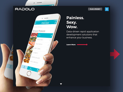 http://www.radolo.com homepage design. Custom software design and web developers New Orleans. Clean / Dark / Minimal design.