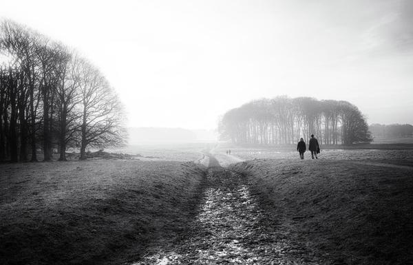 Another Winter Walk #another #walk #winter