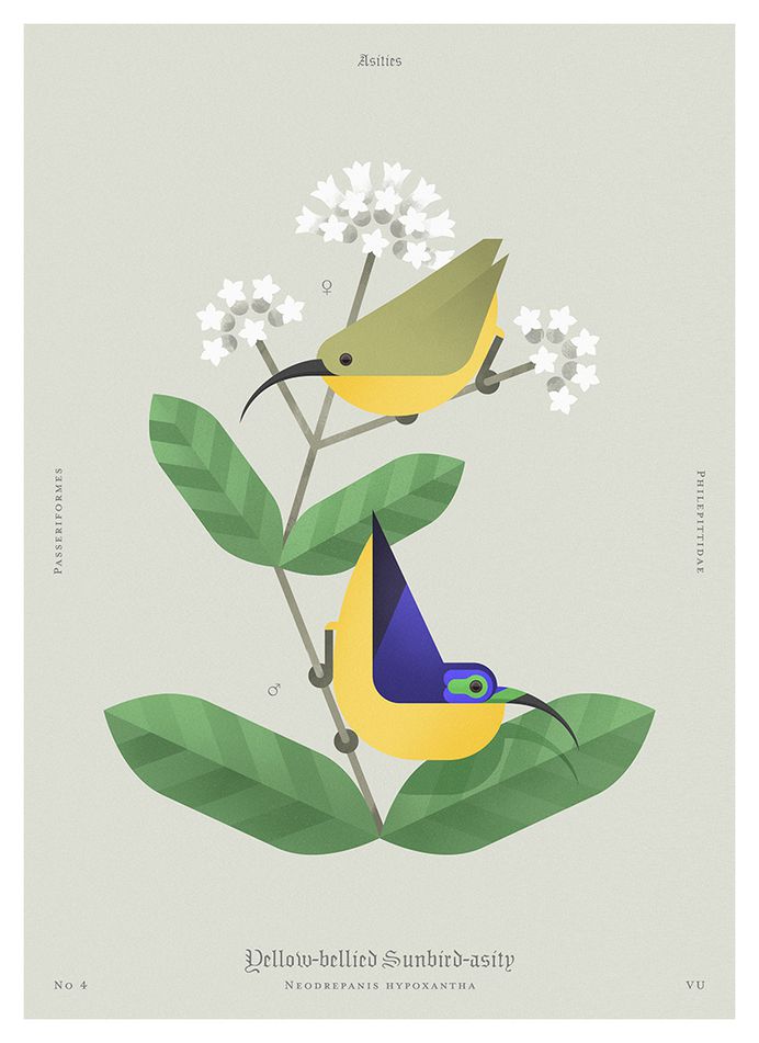 Beauty of birds on Behance