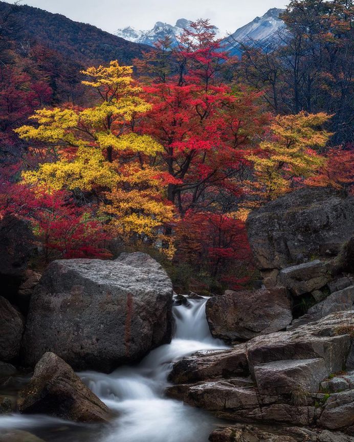Majestic Nature and Landscape Photography by Greg Boratyn