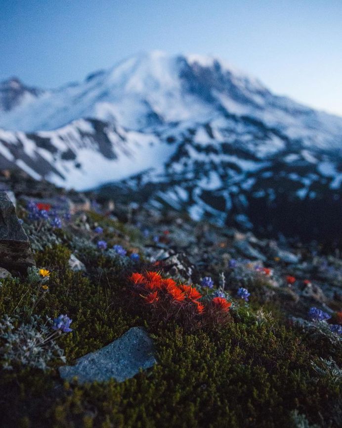 Stunning Nature and Adventure Photography by Jack McDermott