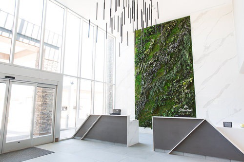 Hotel Trio — Moss Wall