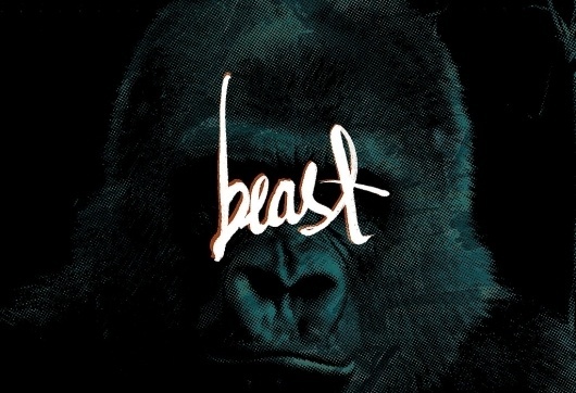 The Phraseology Project #posters #typography
