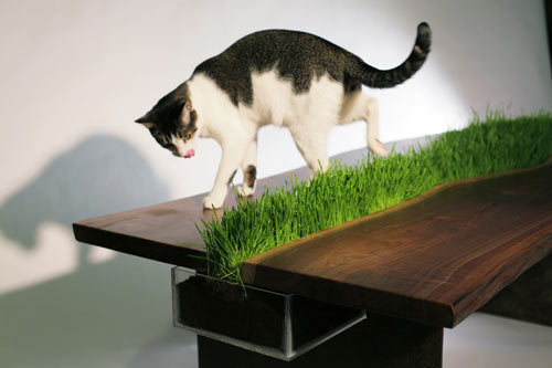 CJWHO ™ (Planter Table by Emily Wettstein [artists on...) #creative #plants #grass #crafts #design #furniture #photography #art #table #awesome #green