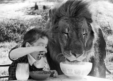 Piccsy :: share lunch #photography