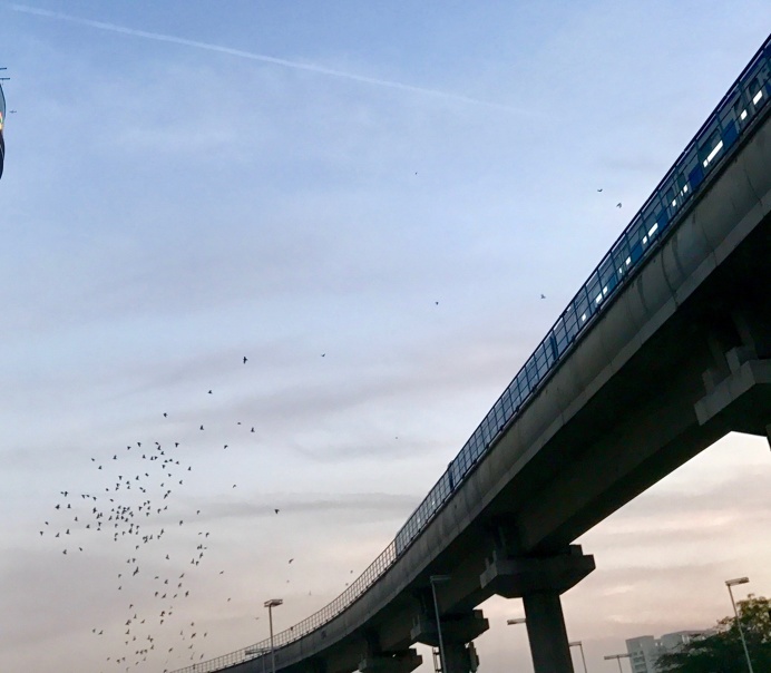 Gurgaon #landscape #rapid metro #travel